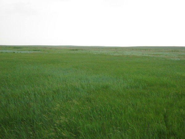 Максат ..........