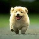 Дмитрий Читайко