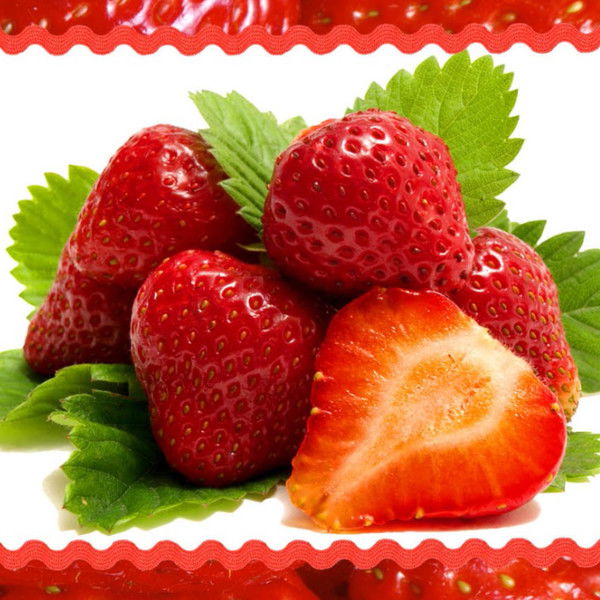 Инга Климошенко