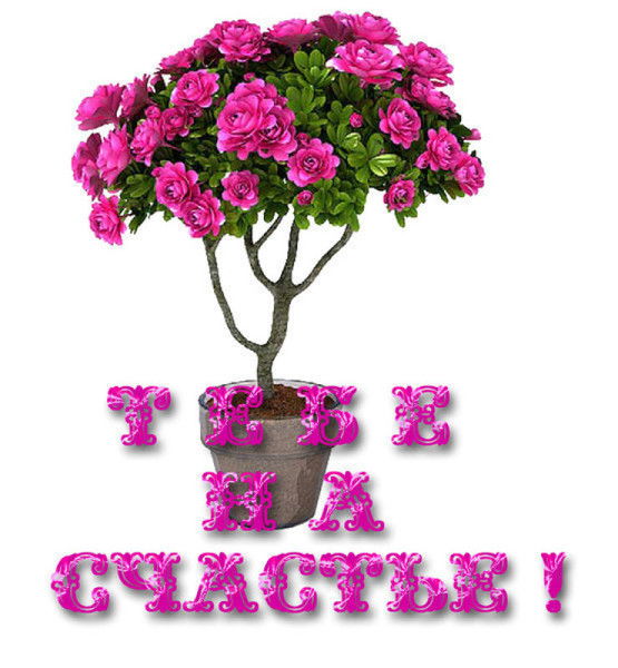 Ольга Константинова