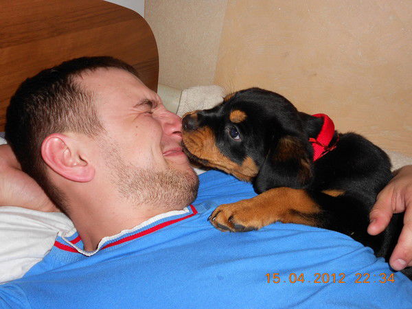 Андрей Мордакин