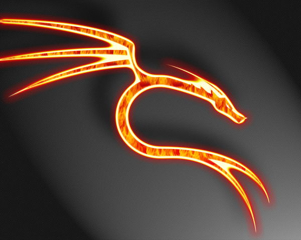 Никита Торсуев