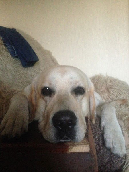 Александр Котов