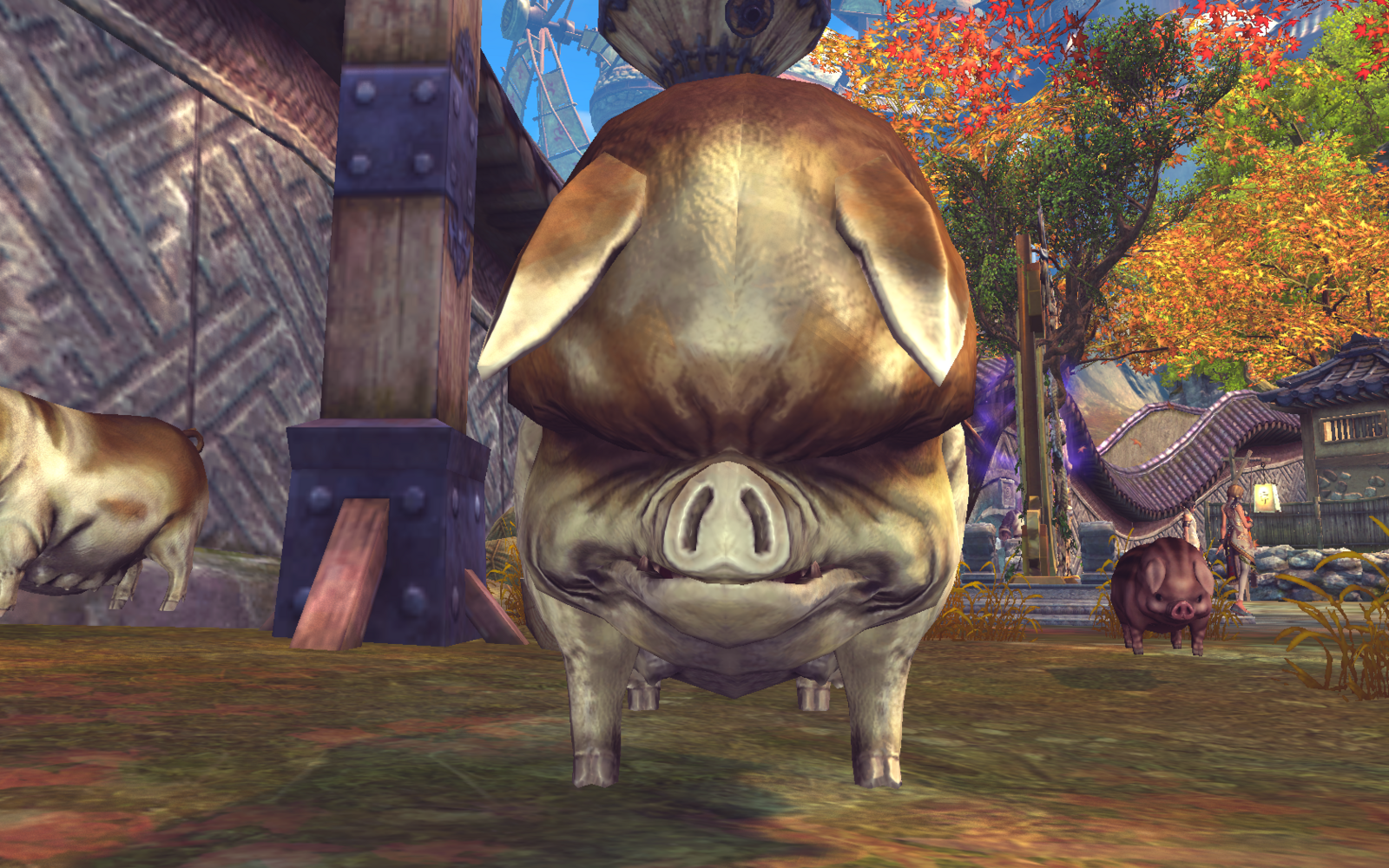 Максим Котляр