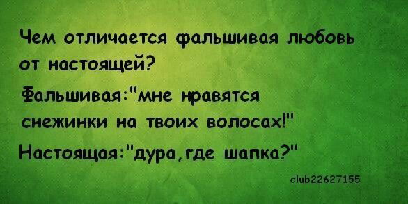 Саша Иванец