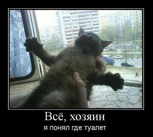 Егор Алимов