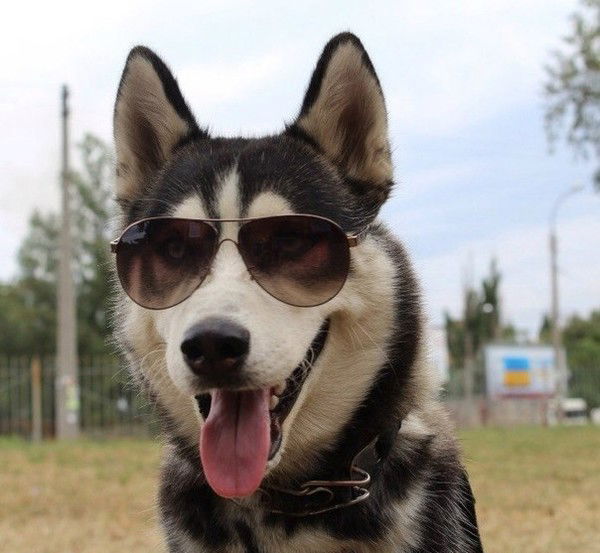 Михаил Малков