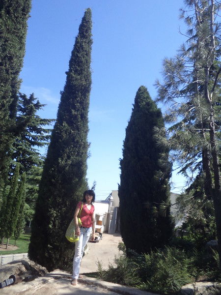 Людмила Головач