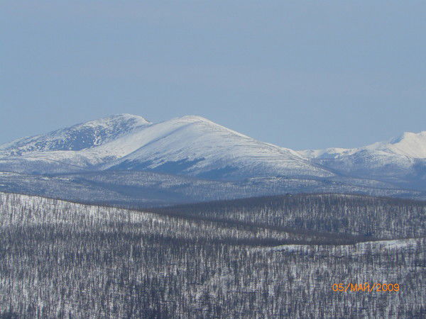 Николай Слизков