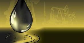 Павел Дорошенко