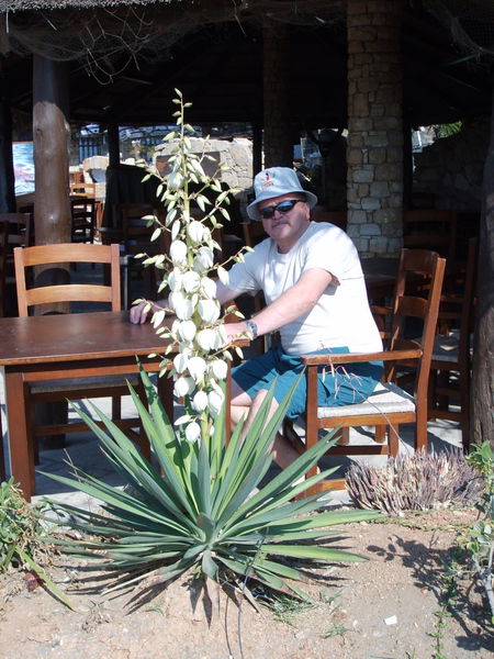 Владимир Сидоркин