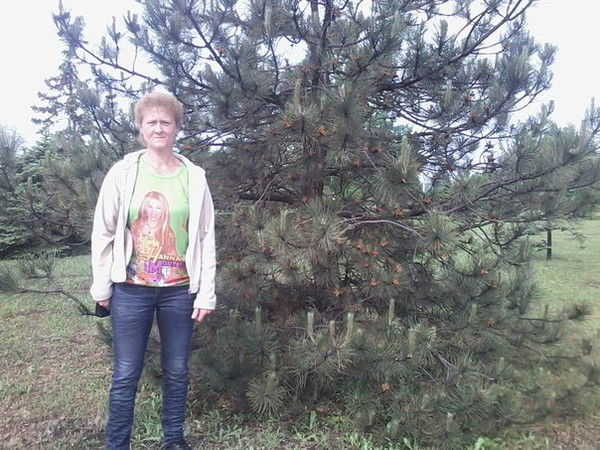 Светлана Жарова