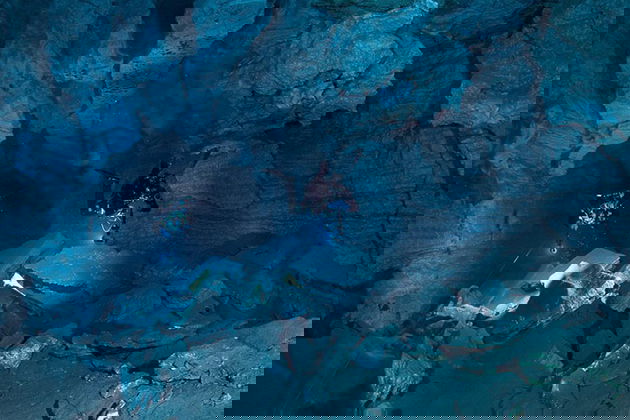 Владимир Тиунов