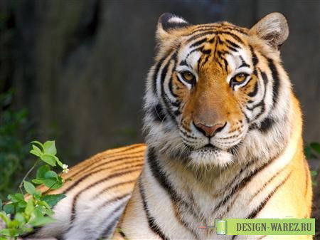 Мадина Турабекова