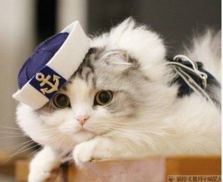 Валентина Нф