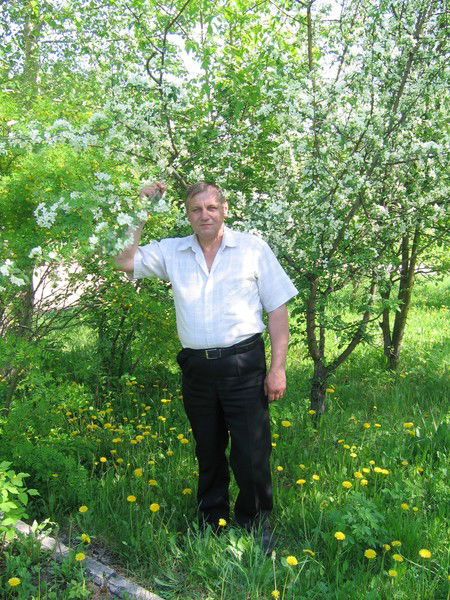 Петр Островский