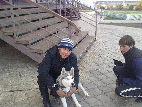 Эльвинчик Ахвердиев