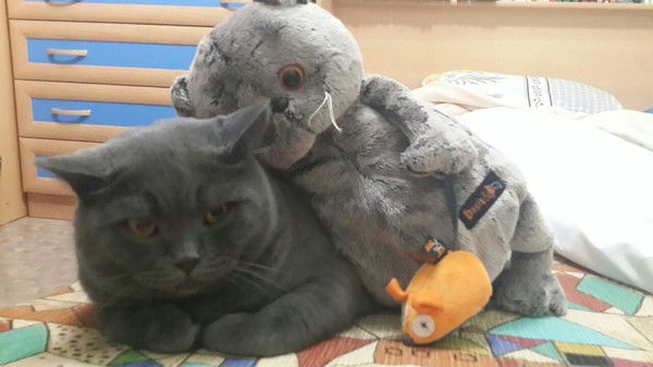 Лена Дульгер