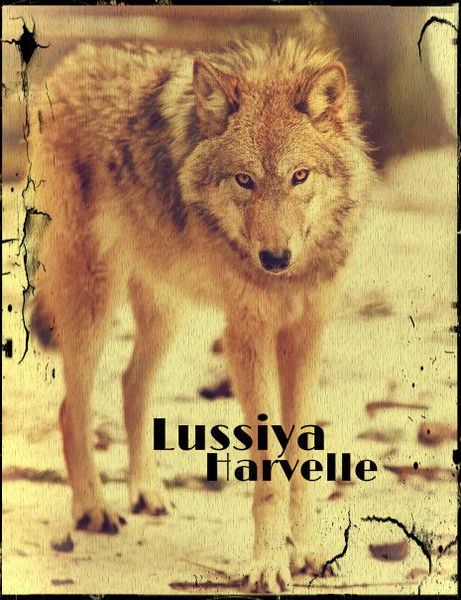 Lussiya Harvelle Grey [Pw]