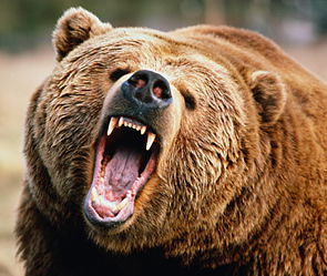 Артур Левшин