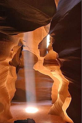 Елена Захарова