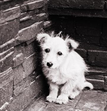 Александр Басов