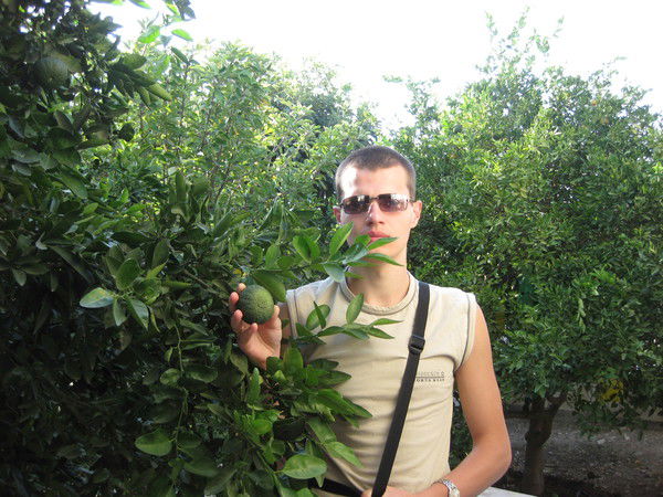 Вальдемар !