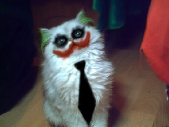 Алексей Сорин