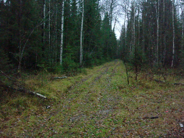 Михаил Кочанов