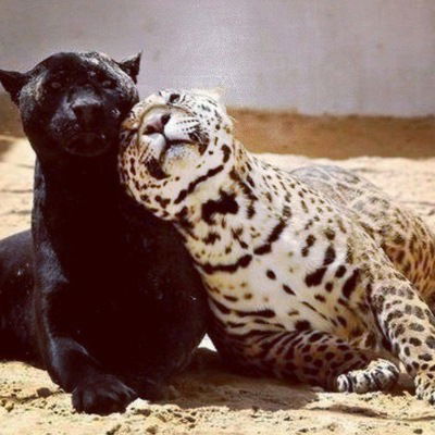 Асель Ямулдинова