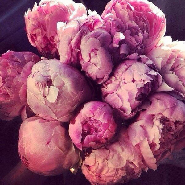 Татьяна Леонидовна