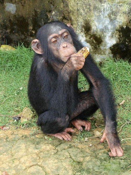 Олег Макаренко