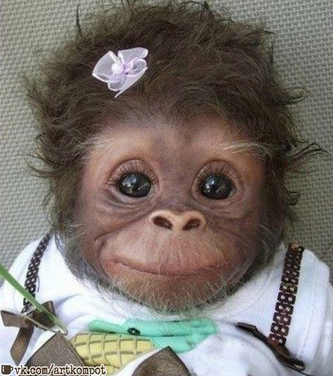 Света Хабибулина