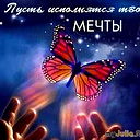 Влада Пластинина