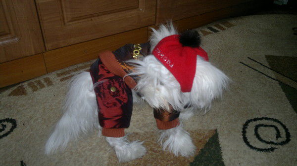 Елена Бутусова