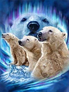 Павел Пыхов