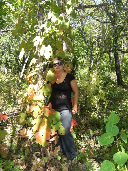 Светлана Павлова