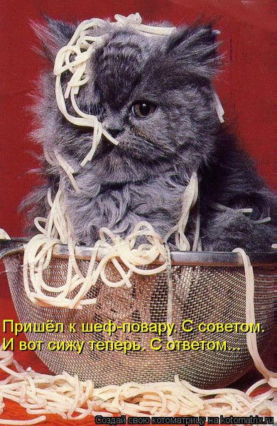 Лена Братчук