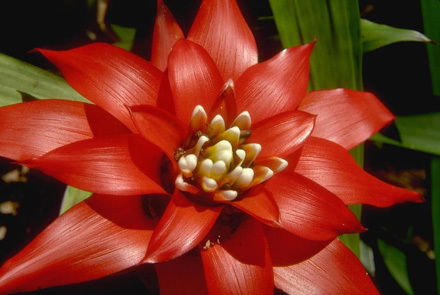 Ирина Крюкова