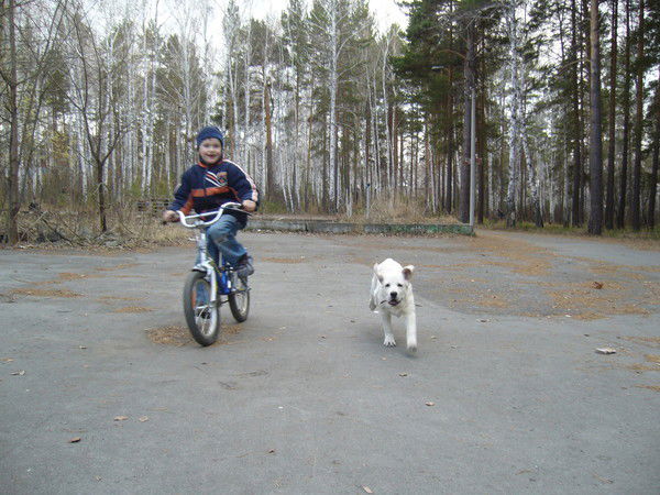 Дима Никитин