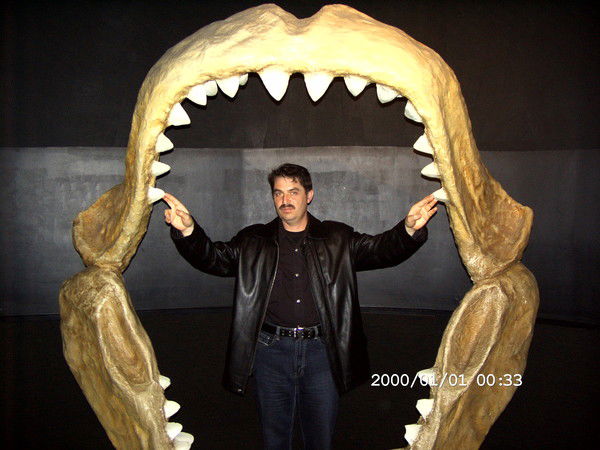 Сергей Стрельцов