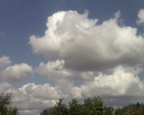 Роза Зарипова