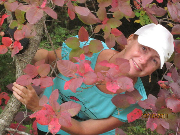 Светлана Улисько