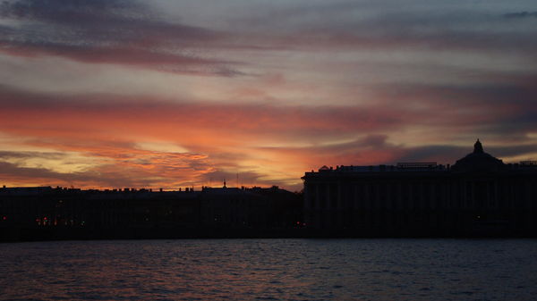 Анна Денисова