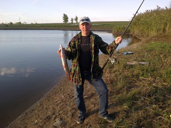 Андрей Данилко