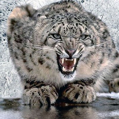 Марат Альмухаметов