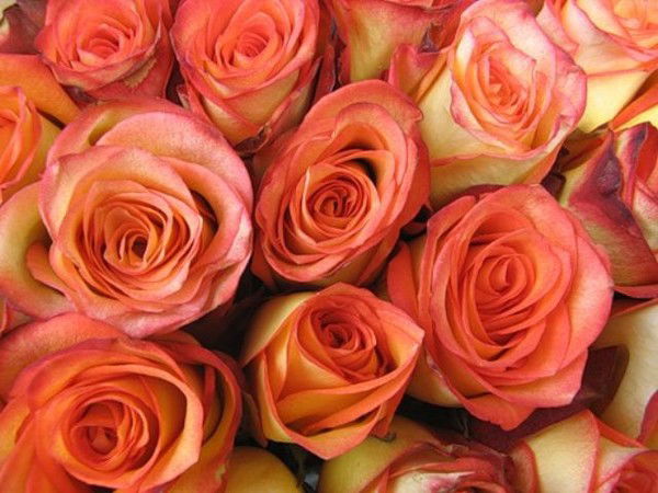 Лилия Алтынова