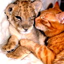 Егор Кислов