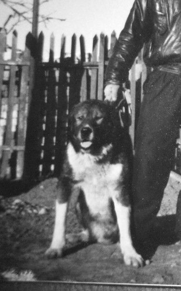 Юра Емельянов