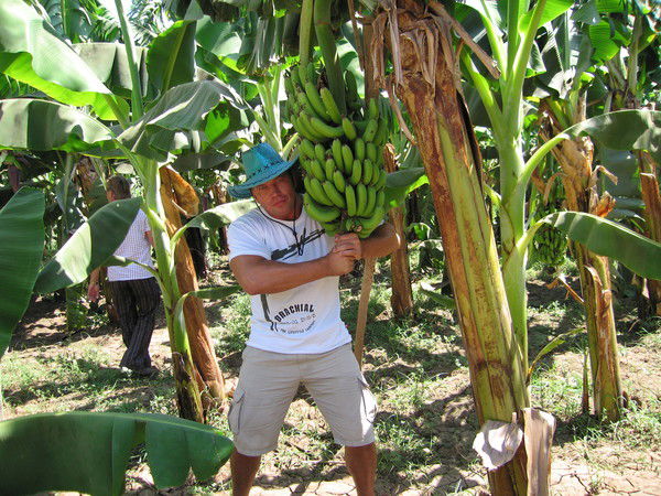 Андрей Ленькин